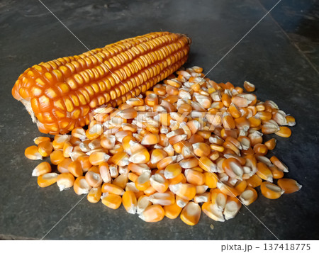 A dry corn cob food on black background A dry corn cob food on black background 137418775