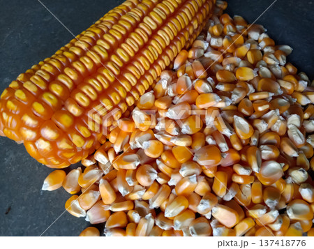 A dry corn cob food on black background A dry corn cob food on black background 137418776