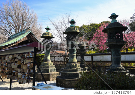 上野東照宮境内 137418794