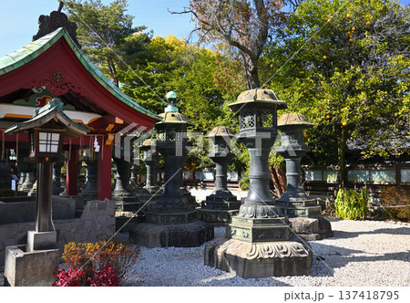 上野東照宮境内 上野東照宮境内 137418795