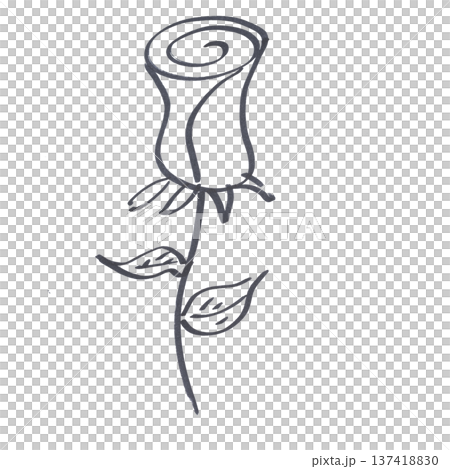 a rose drawn with a black marker 137418830