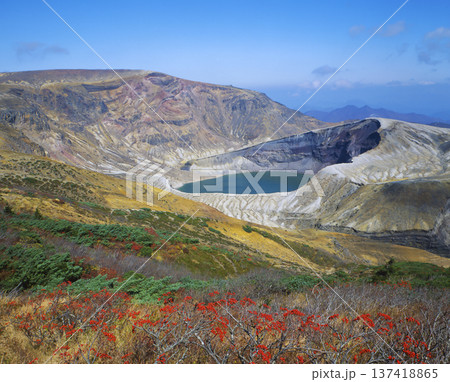 蔵王お釜と七竈 137418865