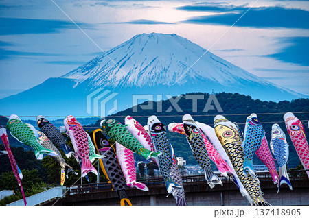 鯉のぼりと富士山 鯉のぼりと富士山 137418905