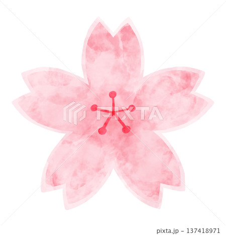 水彩 桜 シンプルイラスト 春 watercolor cherry blossom flower 137418971