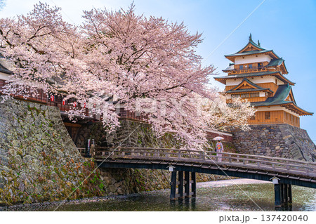 高島城 桜満開 和服 着物 女性 【長野県諏訪市】 高島城 桜満開 和服 着物 女性 【長野県諏訪市】 137420040