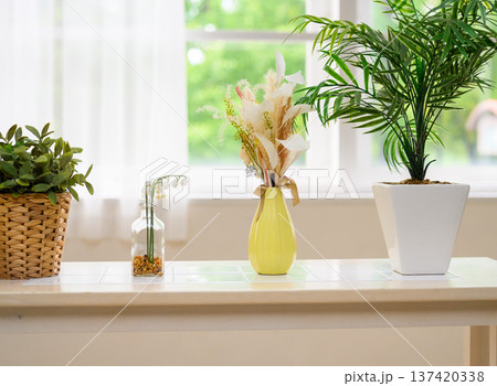 窓辺の植物と花 137420338