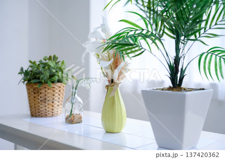 観葉植物と花瓶 137420362