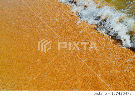 Yellow sand with sea waves. Space for text, background, screensaver, cover. Yellow sand with sea waves. Space for text, background, screensaver, cover. 137420473