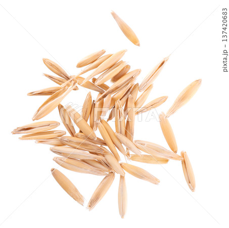 Unpeeled oat grains isolated on white background. Organic dry oat seeds. Clipping path. Top view. Unpeeled oat grains isolated on white background. Organic dry oat seeds. Clipping path. Top view. 137420683