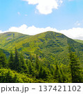 Panoramic View of Green Mountain Slopes Under Blue Sky 137421102