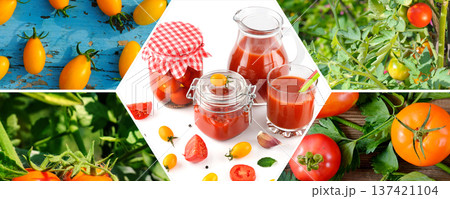 Farm to Table Healthy Tomato Products and Cultivation 137421104