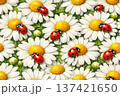 Vibrant Spring Meadow Background with Camomile and Ladybirds 137421650