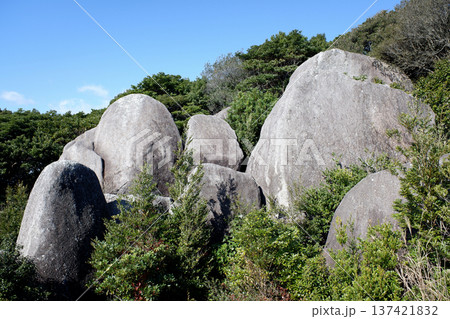 高知県 唐人駄場遺跡・唐人石巨石群 高知県 唐人駄場遺跡・唐人石巨石群 137421832