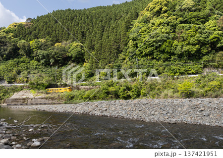 宮崎県日南市　広渡川の新緑を走る日南線キハ40 137421951