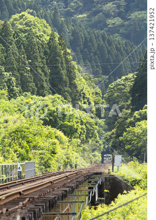 宮崎県日南市 谷之城トンネルと新緑を走る日南線キハ40 宮崎県日南市 谷之城トンネルと新緑を走る日南線キハ40 137421952