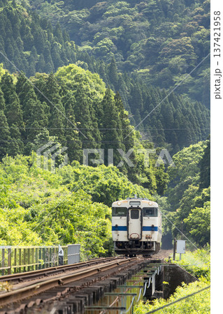 宮崎県日南市　谷之城トンネルと新緑を走る日南線キハ40 137421958