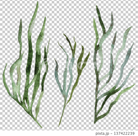 Watercolor hand drawn twigs with green leaves isolated illustration, wedding stationery element Watercolor hand drawn twigs with green leaves isolated illustration, wedding stationery element 137422239
