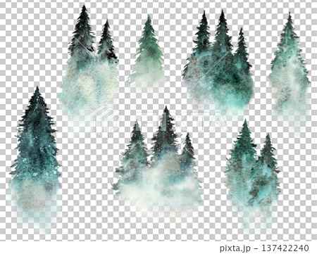 Hand drawn watercolor green spruce or pine tree misty forest, winter isolated illustration Hand drawn watercolor green spruce or pine tree misty forest, winter isolated illustration 137422240