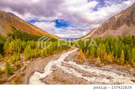 Aerial top view to Actru alpine valley and delta river. High altitude discontinuous Landscape to Mountains in Siberia, Altai Republic, Russia 137422629