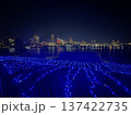 横浜ライトアップ　日本の夜景　横浜の夜景　 137422735
