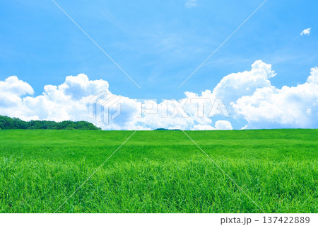 青空と草原と雲 〜大塩ダムの堤体に広がる草原と夏の空〜 青空と草原と雲 〜大塩ダムの堤体に広がる草原と夏の空〜 137422889