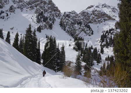 Man walking in snowy mountain forest landscape in winter Man walking in snowy mountain forest landscape in winter 137423202