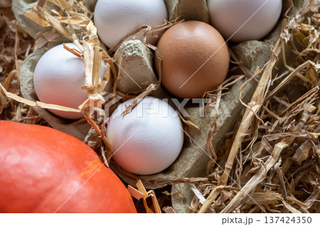 White and brown fresh eggs with dry hay straw. Nature background. Chicken egg in carton box for cooking healthy food. Bio organic eggs on the farm. White and brown fresh eggs with dry hay straw. Nature background. Chicken egg in carton box for cooking healthy food. Bio organic eggs on the farm. 137424350