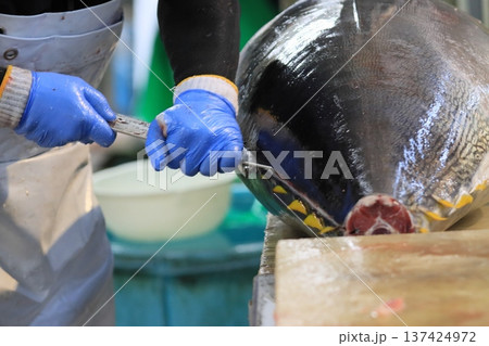 マグロ職人に解体される生の本マグロ　 137424972