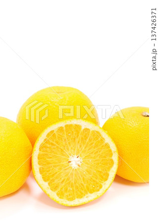 はっさく　八朔　和歌山県産　カット　断面　柑橘類　明るい背景 137426371