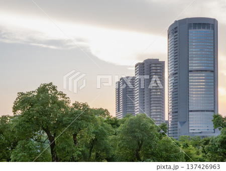 夕空にそびえ立つ高層マンション群と新緑の木々 夕空にそびえ立つ高層マンション群と新緑の木々 137426963