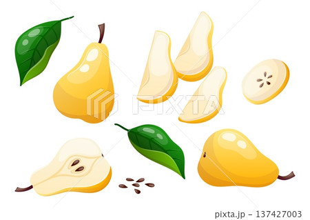 Vector set of whole pears, halves and slices 137427003