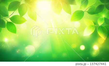 グリーン一色　爽やかな新緑 137427441