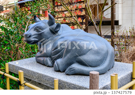 東京都　新宿区　成子天神社　表参道の撫で牛 137427579