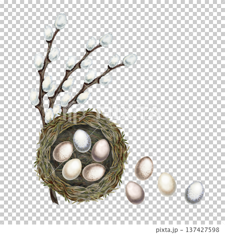Watercolor bird nest, speckled eggs and pussy willow branches isolated on white background. Soft natural spring composition symbolizing renewal, Easter celebration for greeting cards, seasonal design Watercolor bird nest, speckled eggs and pussy willow branches isolated on white background. Soft natural spring composition symbolizing renewal, Easter celebration for greeting cards, seasonal design 137427598
