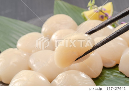 北海道産 新鮮なホタテの刺身 旨味たっぷりの生貝柱 日本食・海鮮料理素材 北海道産 新鮮なホタテの刺身 旨味たっぷりの生貝柱 日本食・海鮮料理素材 137427641