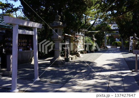 神聖な空気に包まれた森戸神社の参道 神聖な空気に包まれた森戸神社の参道 137427647