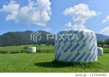 ひるぜんジャージーランド　岡山　牧場　牧草 137428460