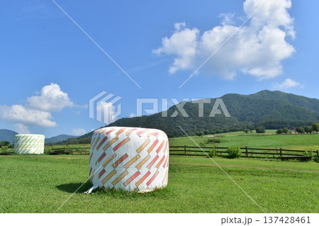 ひるぜんジャージーランド　岡山　牧場　牧草 137428461