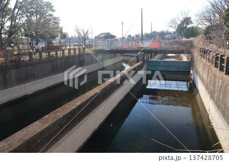 見沼代用水東縁と西縁の分岐点 137428705