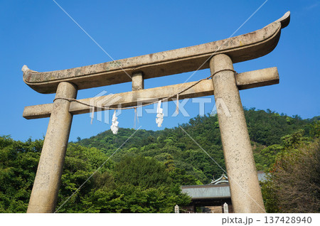 青空に映える鳥居と緑の背景 137428940