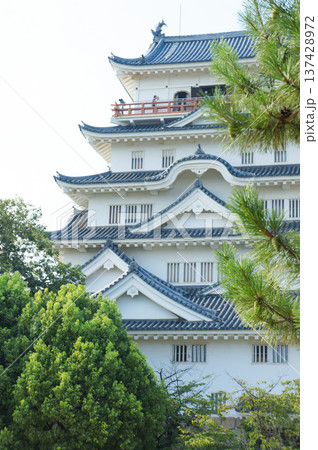福山城の美しい天守閣と青空 福山城の美しい天守閣と青空 137428972