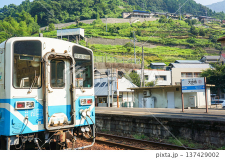 大歩危駅に停車するローカル列車と田舎の風景 137429002