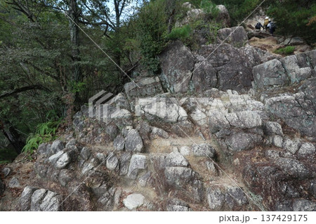 六甲山の登山道（ロックガーデン） 137429175