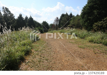 六甲山の登山道 137429189