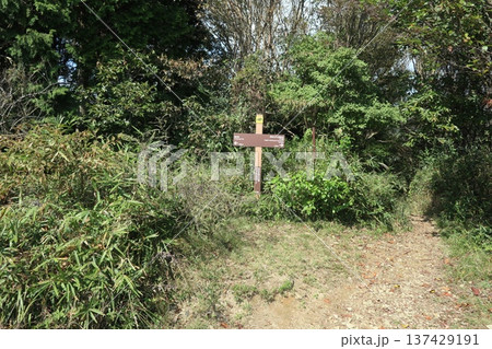 六甲山の登山道 137429191