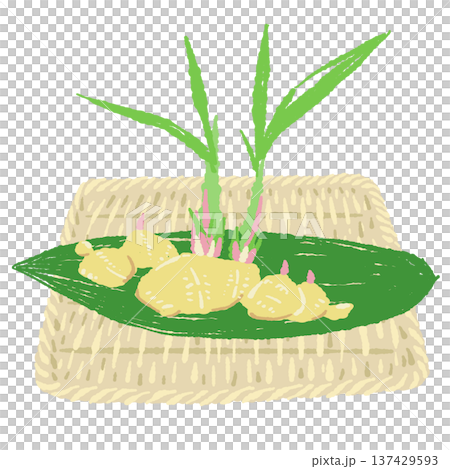 Ginger (leaf ginger) and a square bamboo strainer set Ginger (leaf ginger) and a square bamboo strainer set 137429593