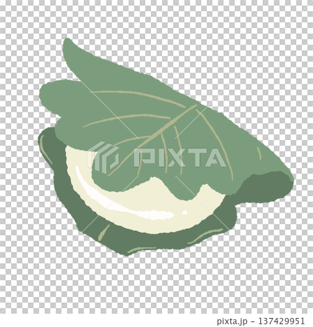 Illustration of white kashiwamochi 137429951