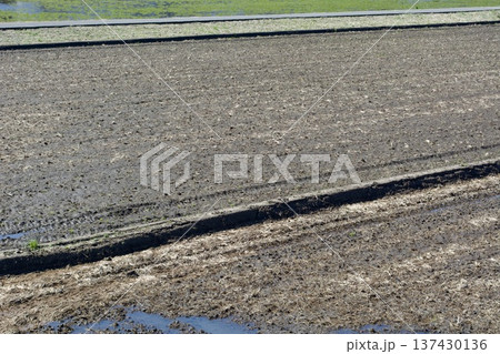 田んぼ 土作り 137430136