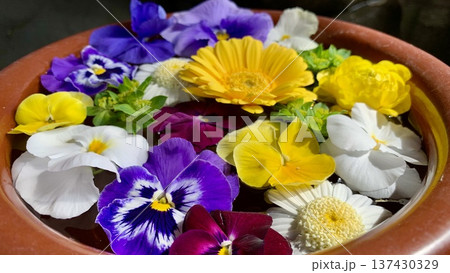 3月の花手水クローズアップ(パンジー・ガーベラ・ブプレリューム)〈菅生神社/愛知県岡崎市〉 137430329