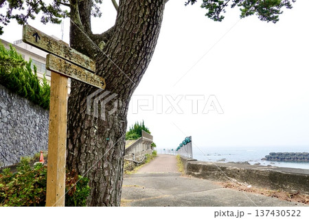 伊勢志摩　ビン玉ロード　海岸沿いの遊歩道にビン玉が並ぶ風景　三重県志摩市浜島町 137430522
